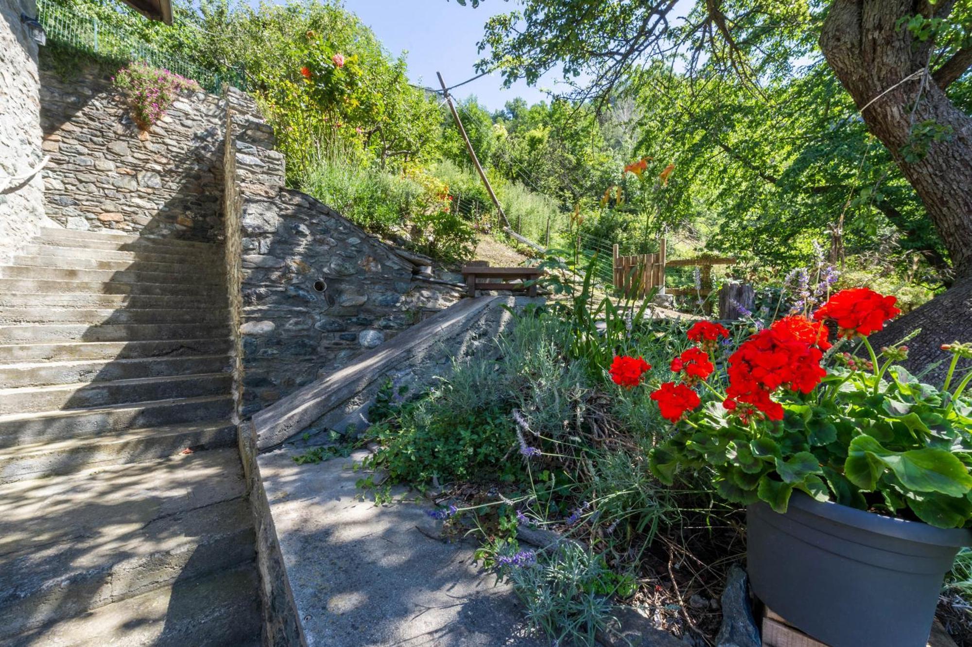 Il Nido Di Letizia Apartment Châtillon Exterior foto
